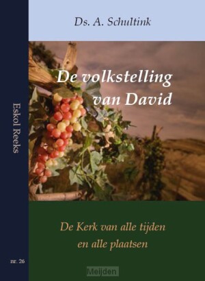 volkstelling-van-david
