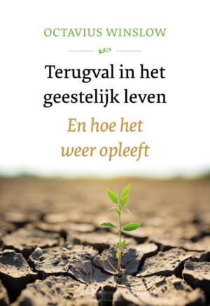 terugval-in-het-geestelijk-leven