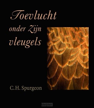 toevlucht-onder-zijn-vleugels