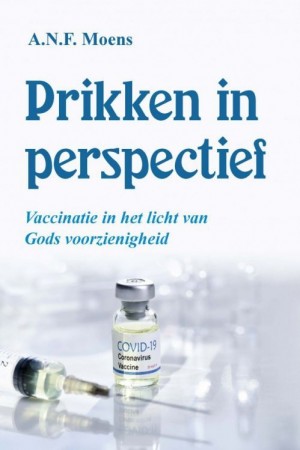 Prikken in perspectief.jpg