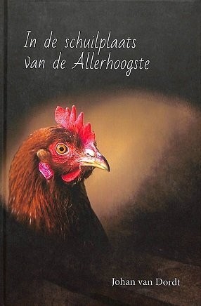 In de schaduw.jpg